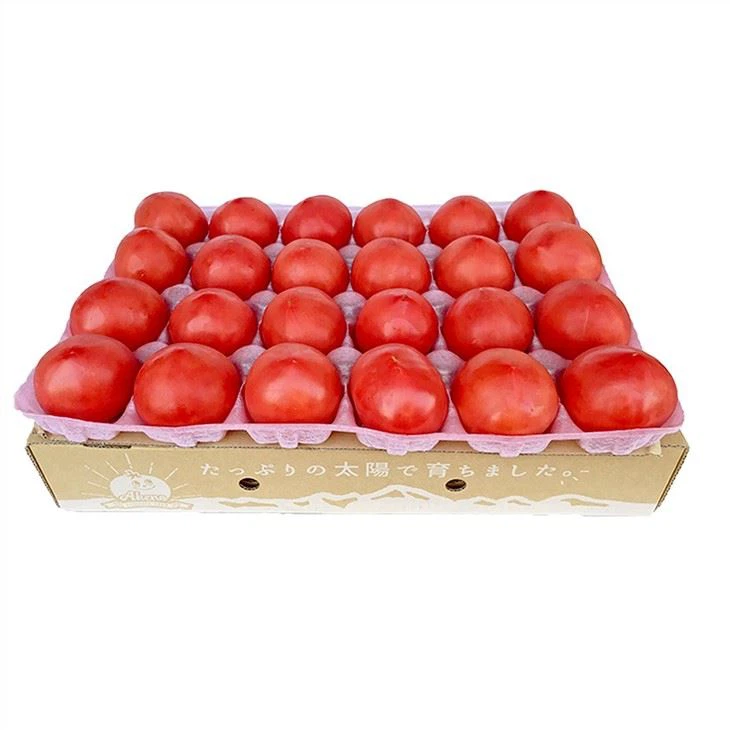 Custom Made Molded Paper Pulp Packaging