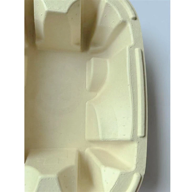 Sugarcane Pulp Packaging Tray for Faucet best